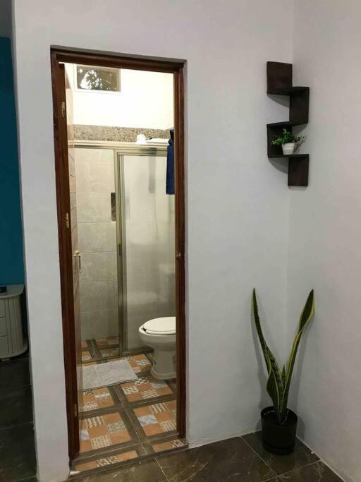 Alojamiento Departamental Apartment Bacalar Bagian luar foto